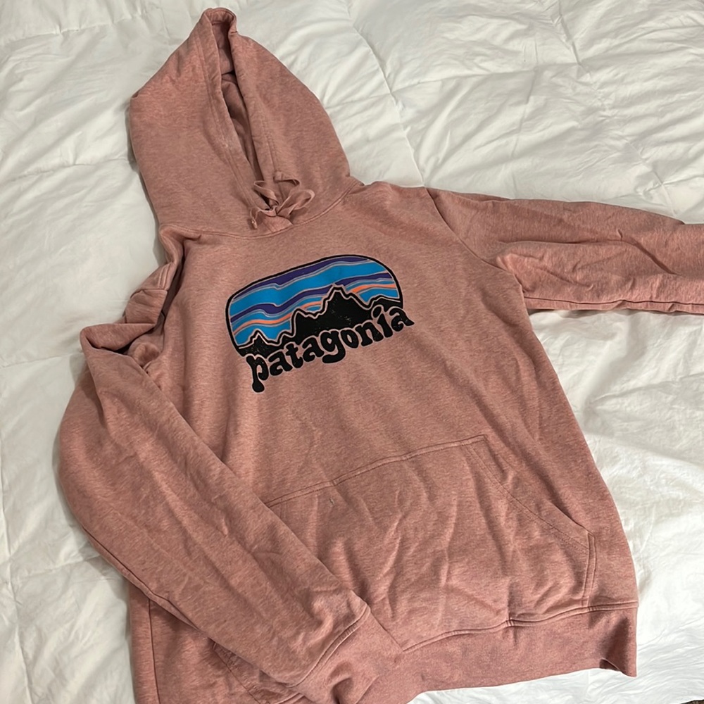 Patagonia women’s hoodie